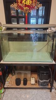 (Category: ) located in . Submitted by happywater.f8ae7f (Listing ID 1438338058, Image 1). Description: .