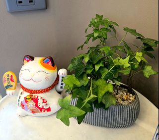 （分類：）位於 。 由 cloverflower6868 提交（商品編號 1438341306，圖片 1）。簡介： 。