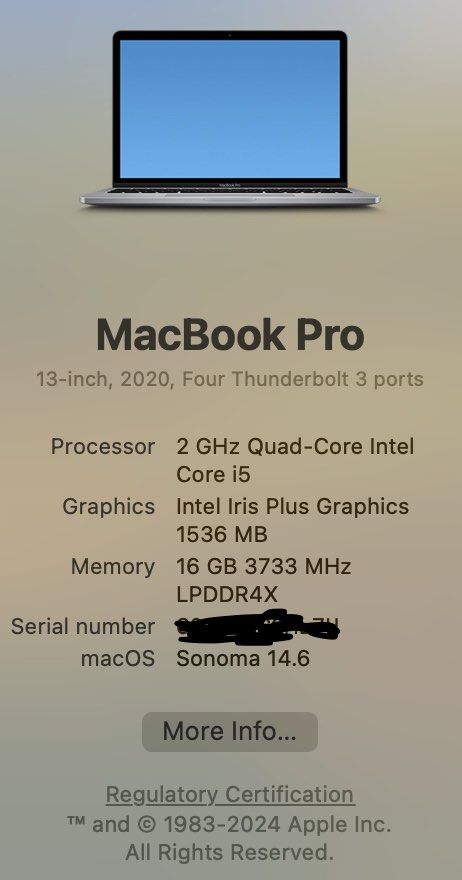 Apple MacBook Pro 13-inch (2020)456384084884203523