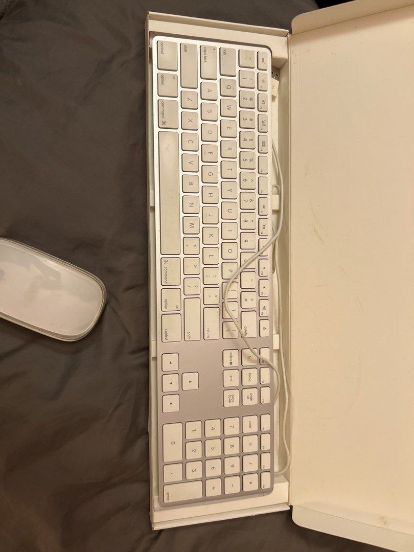 Apple Wired Keyboard (A1243) & Magic Mouse456847838035978241
