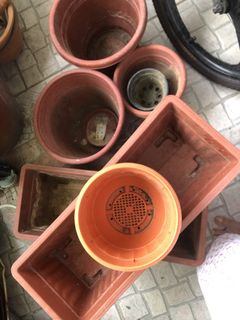 (Category: ) located in . Submitted by flowersg50 (Listing ID 1438390725, Image 1). Description: .
