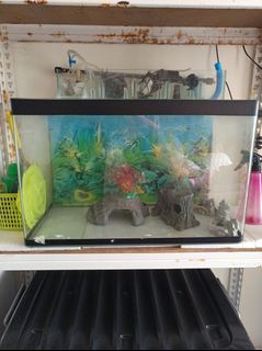 (Category: ) located in . Submitted by munirrr88 (Listing ID 1438306918, Image 1). Description: .