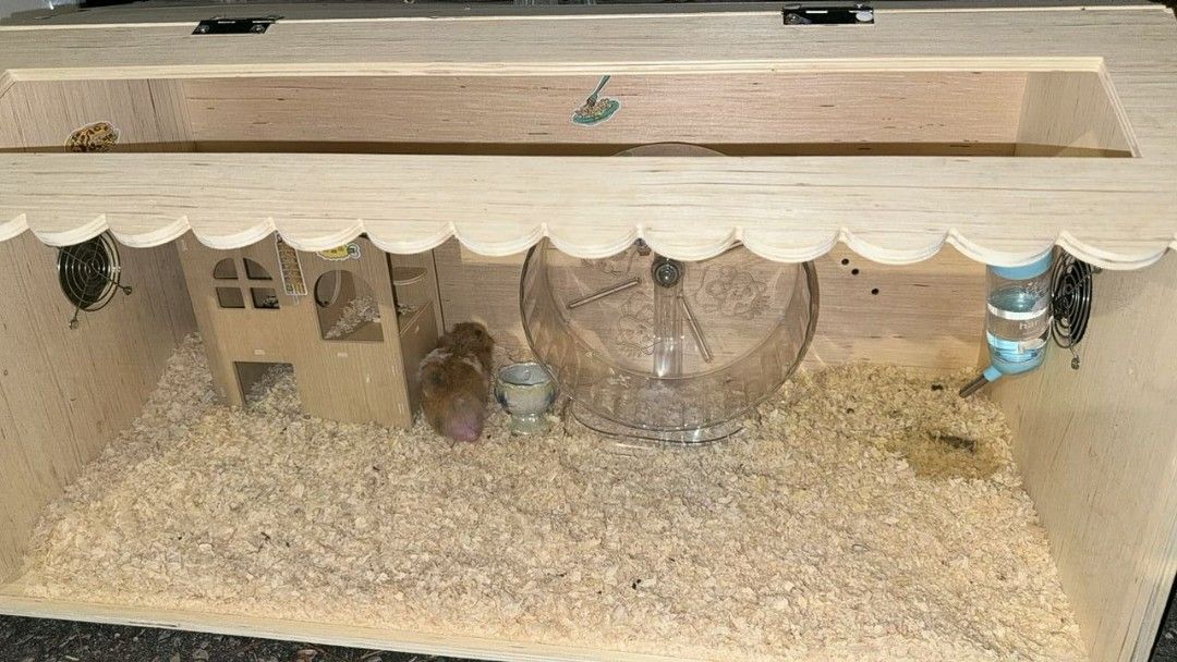 Hamster Cage, Pet Supplies, Homes & Other Pet Accessories on Carousell