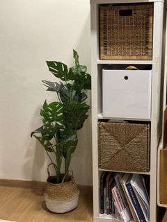 (Category: ) located in . Submitted by sara_thorn (Listing ID 1438417310, Image 1). Description: .