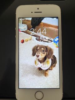 （分類：）位於 。 由 ingingyaya 提交（商品編號 1438367400，圖片 1）。簡介： 。