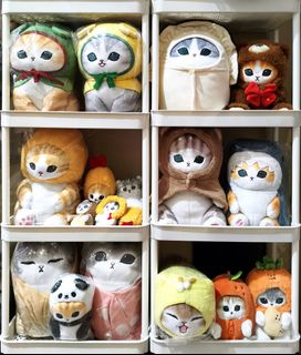 (Category: ) located in . Submitted by plushpals (Listing ID 1438356984, Image 1). Description: .