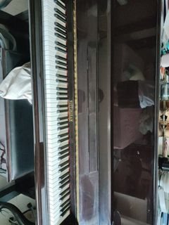 (Category: ) located in . Submitted by ffvvnnee (Listing ID 1438331145, Image 1). Description: .