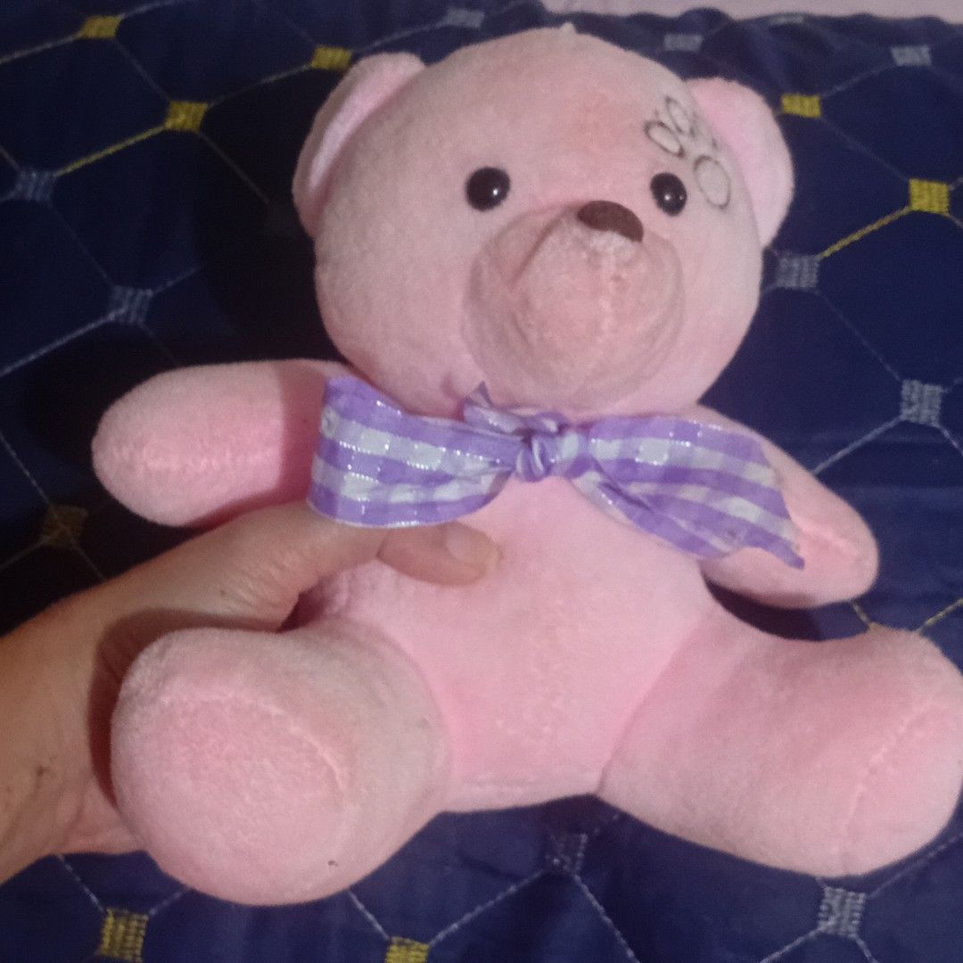 Papubbit Pink Teddy Bear from Claw Machine :) (Category: Plushies & Soft Toys) located in Mandaluyong City. Submitted by trish125 (Listing ID 1438450759, Image 2). Description: From ClawHobby- you can visit the youtube page for your reference :) Rfs: Decluttering .