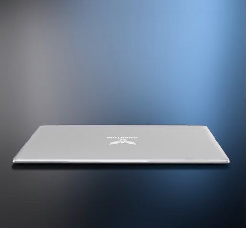 Quantum Laptop - SG Ready Stock456383186191656961