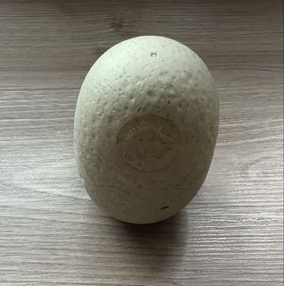 （分類：）位於 。 由 albotho 提交（商品編號 1438529201，圖片 1）。簡介： 。