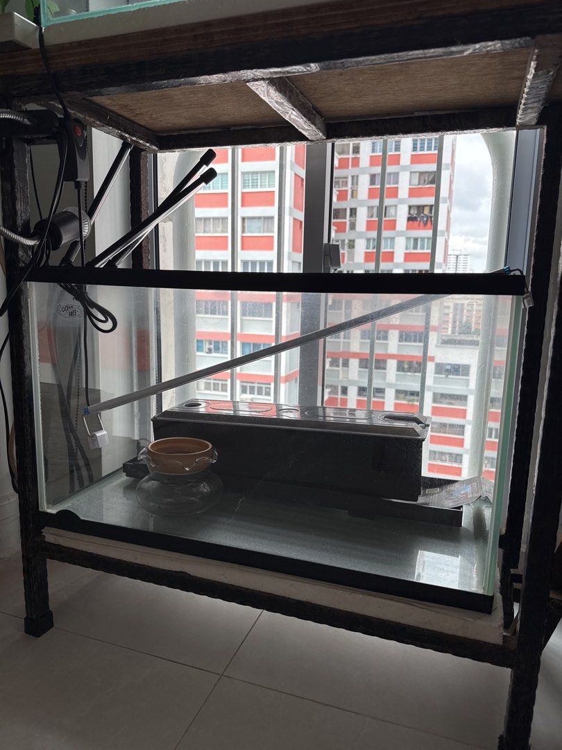 Fish Tanks with Stand (Category: Homes & Other Pet Accessories) located in Singapore. Submitted by gooddaymate.imfine (Listing ID 1438519870, Image 3). Description: Selling 2 fish tanks (top fish tank is made with glass, bottom is made with acrylic) Top tank: 2ft (L)x 1ft(B) x 45cm(H) Bottom tank: 2ft (L)x 1ft(B) x 35cm(H) Can give Cast iron frame for free if you want but it's a bit rusty. Dimension: 2ft (L)x 1ft(B) x 76cm(H) Can let go at $60 fo