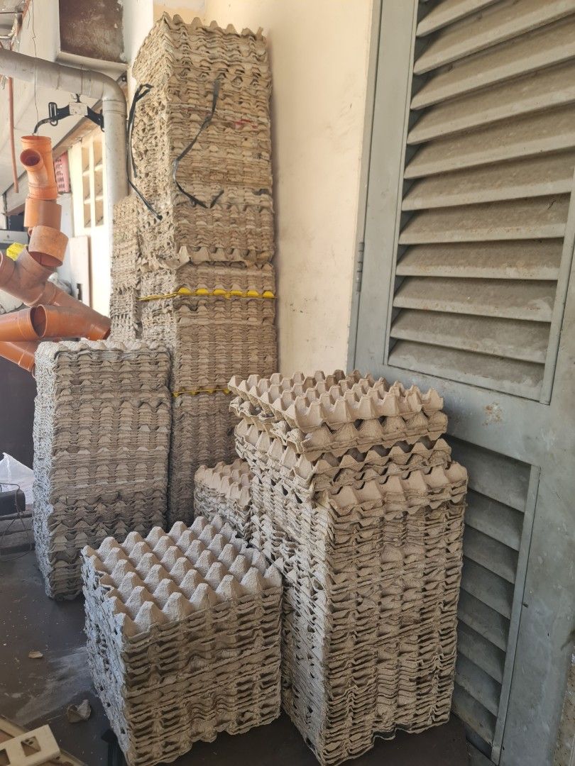 Egg trays (Category: Looking For) located in San Mateo. Submitted by eoc69120317439 (Listing ID 1438533380, Image 1). Description: selling used egg trays for 5.00 per piece.