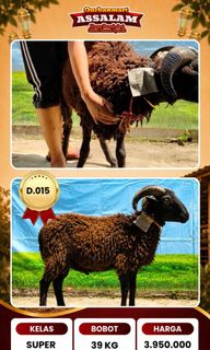(Kategori: ) berada di . Dikirim oleh bundnes (ID iklan 1438692926, Gambar 1). Deskripsi: .