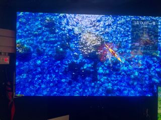 （分類：）位於 。 由 swiftdolphin_43fc6e 提交（商品編號 1438602879，圖片 1）。簡介： 。