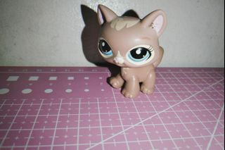 (Category: ) located in . Submitted by ditadots (Listing ID 1438625392, Image 1). Description: .