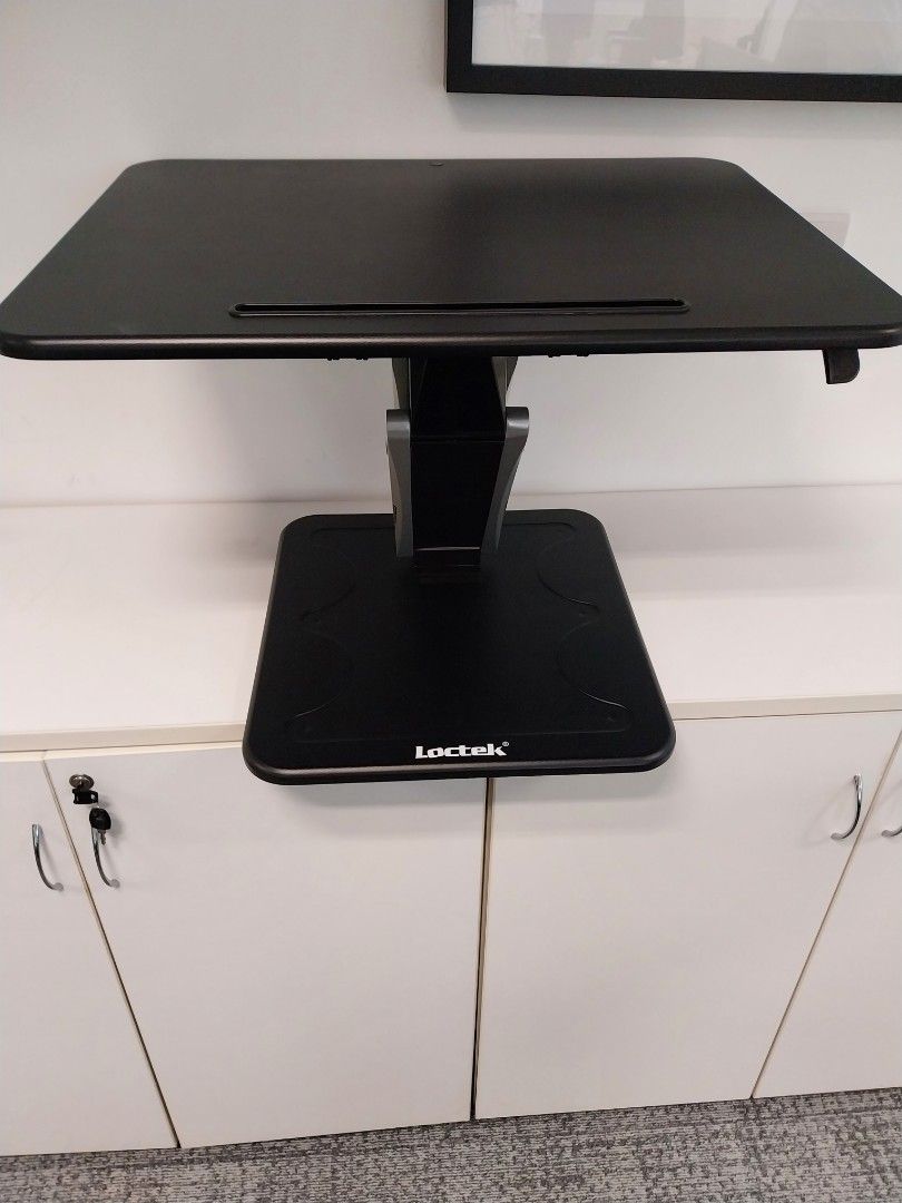 Loctek standing desk457271883575470081