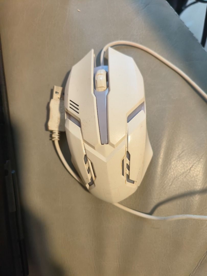 Mouse457606796652718080