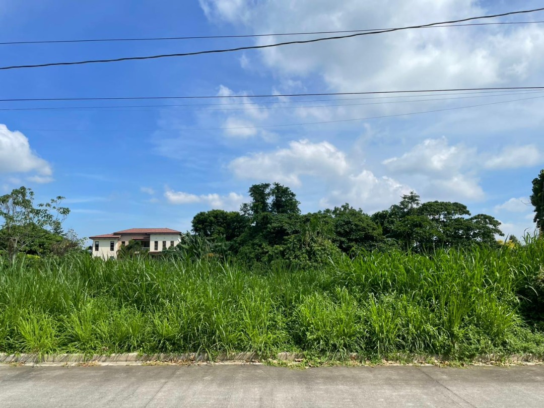 (Category: ) located in . Submitted by everbrightph_09171681688 (Listing ID 1438528731, Image 1). Description: .