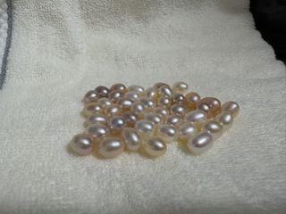 （分類：）位於 。 由 ilycheng0932 提交（商品編號 1438846037，圖片 1）。簡介： 。