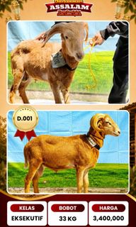 (Kategori: ) berada di . Dikirim oleh bundnes (ID iklan 1438842701, Gambar 1). Deskripsi: .