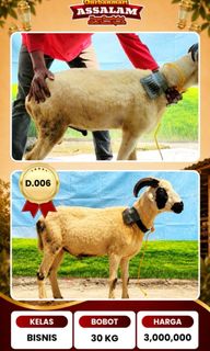 (Kategori: ) berada di . Dikirim oleh bundnes (ID iklan 1438842920, Gambar 1). Deskripsi: .