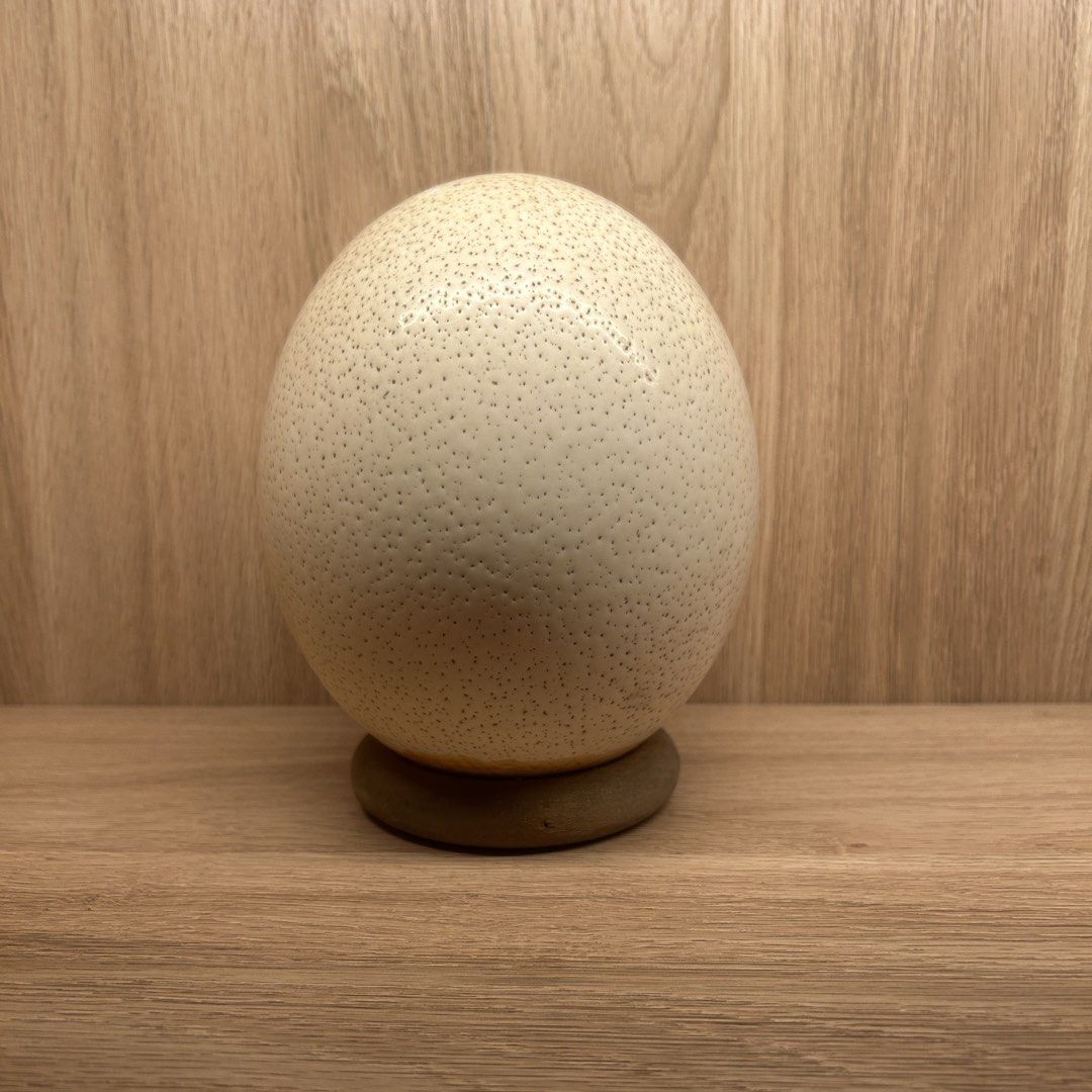Hand-Painted Ostrich Egg Shell with Stand (Category: Other Home Decor) located in Paranaque City. Submitted by lnce.e (Listing ID 1438746565, Image 3). Description: Ostrich egg shell only w/ stand Hand painted ostrich Parañaque Loc .