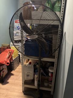 (Category: ) located in . Submitted by mrszeb (Listing ID 1438783803, Image 1). Description: .