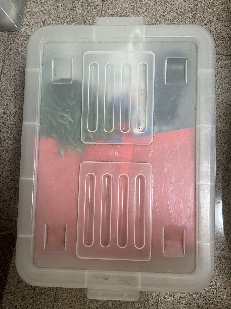 Large Plastic Storage Box with Lid458882766907658241