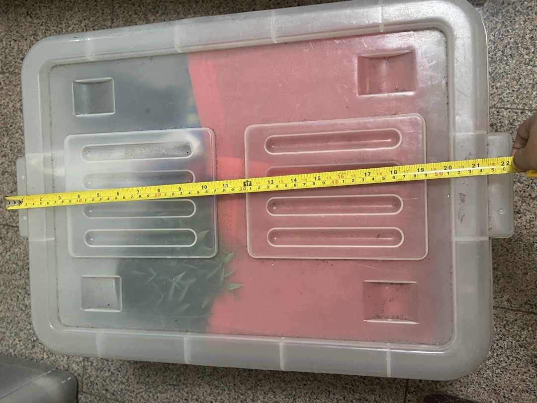 Large Plastic Storage Box with Lid458882766907658242