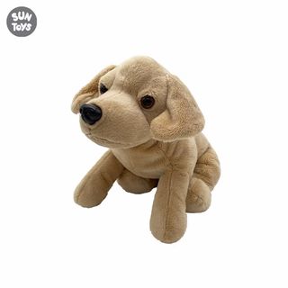 (Category: ) located in . Submitted by wholesale67 (Listing ID 1438876911, Image 1). Description: .