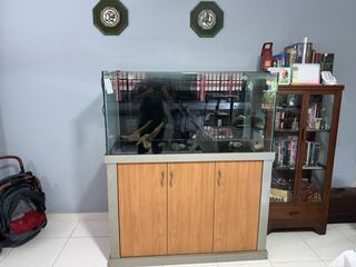 (Category: ) located in . Submitted by unclehadii (Listing ID 1435624050, Image 1). Description: .