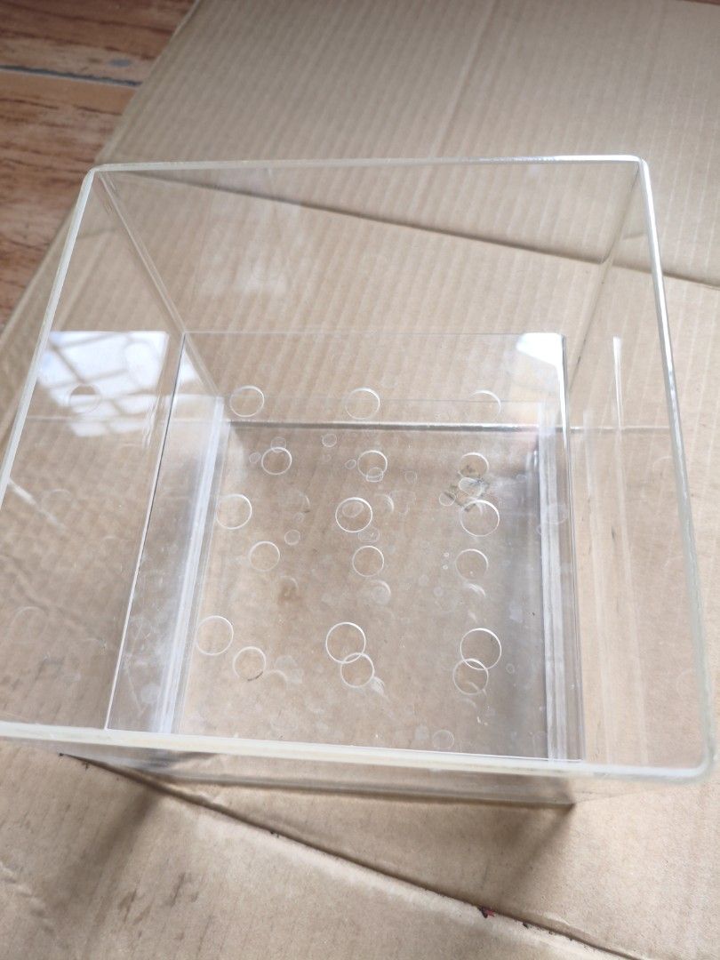 Acrylic Flower Box 9 holes (Category: Storage Boxes & Baskets) located in Pasig City. Submitted by coolphoenix-29ac (Listing ID 1435538020, Image 3). Description: Acrylic flower box 9 holes.
