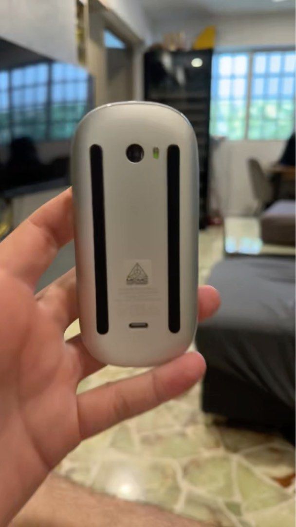 Apple Mouse442885280220456960