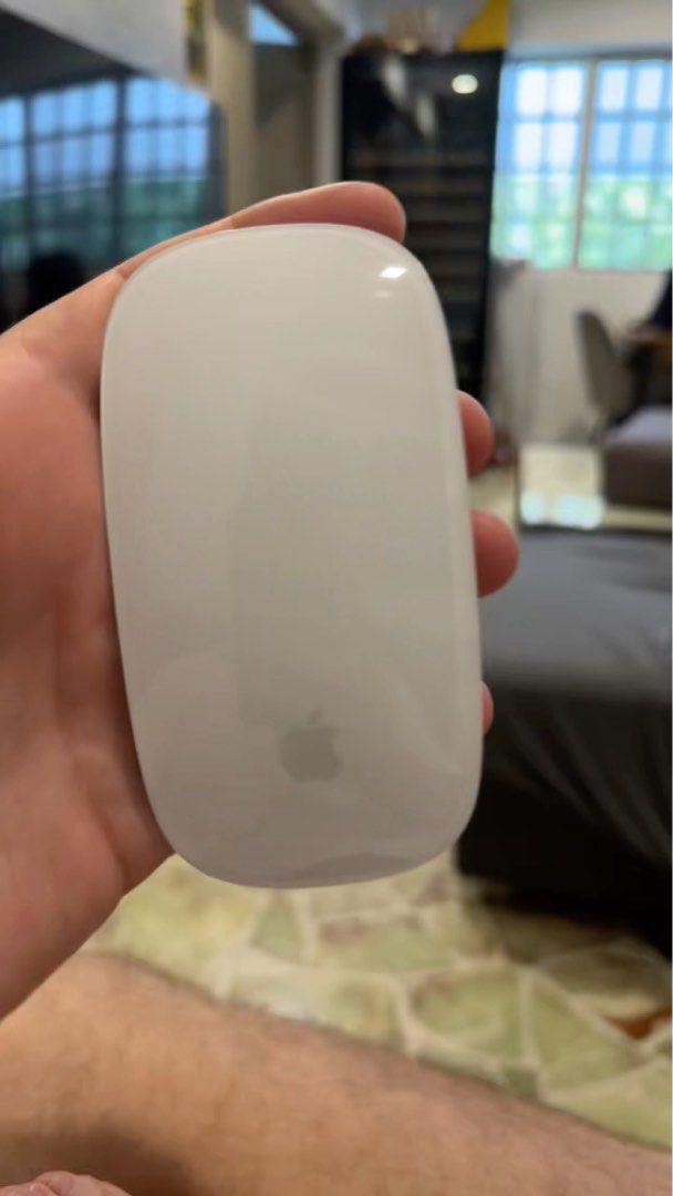 Apple Mouse442885280220456962