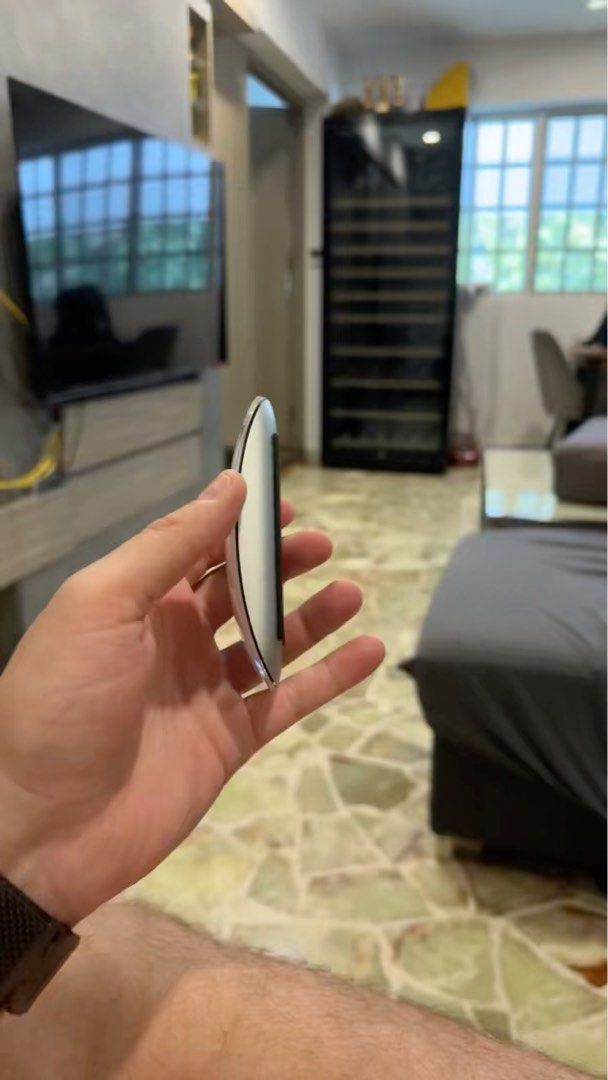 Apple Mouse442885280220456961