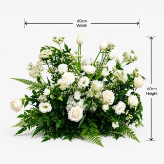 (Category: ) located in . Submitted by theflowerriot (Listing ID 1435549417, Image 1). Description: .