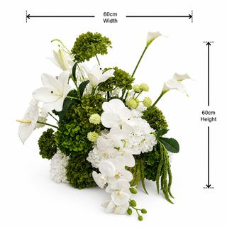 (Category: ) located in . Submitted by theflowerriot (Listing ID 1435577221, Image 1). Description: .