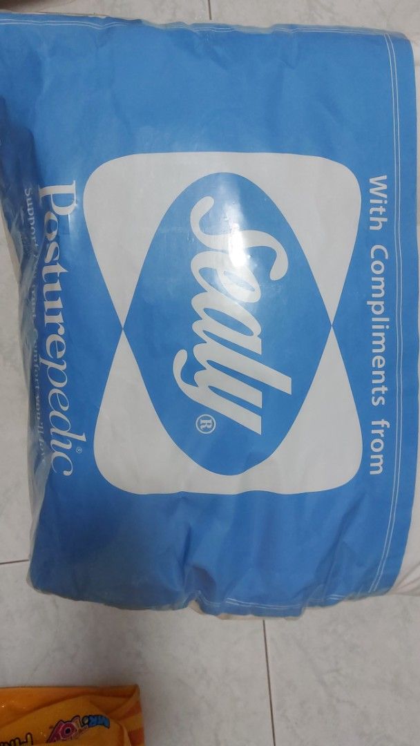 BN Sealy Queen size Matress Protector