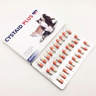 （分類：）位於 。 由 3qcatbabe 提交（商品編號 1435574008，圖片 1）。簡介： 。