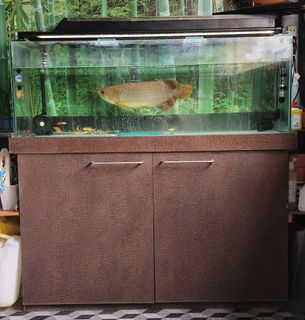 (Category: ) located in . Submitted by ishak22 (Listing ID 1435598101, Image 1). Description: .