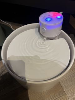 （分類：）位於 。 由 samanthaalways 提交（商品編號 1435564079，圖片 1）。簡介： 。