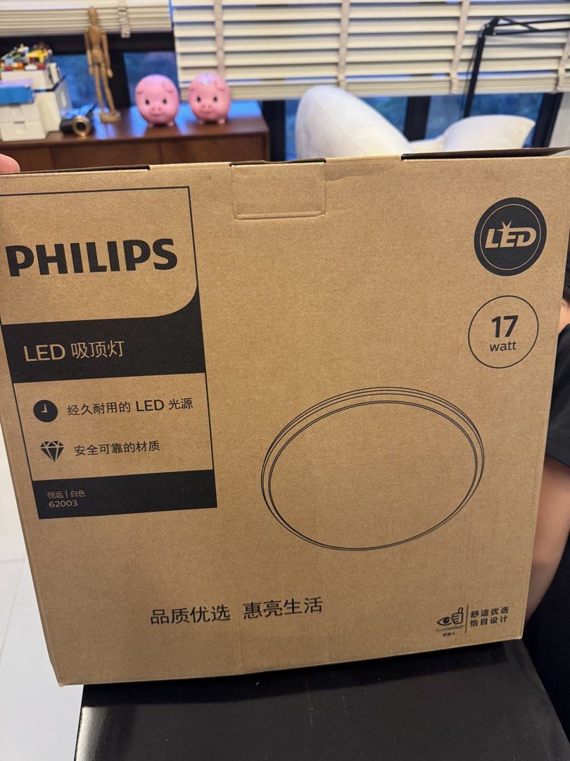 Philips LED Ceiling Light 17W