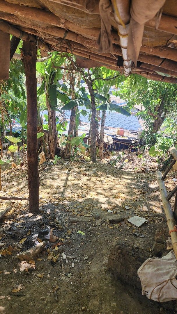 San jose delmonte bulacan lot (Category: Lot) located in Quezon City. Submitted by limchenjavier (Listing ID 1435544908, Image 2). Description: san jose delmonte minuyan near norzagaray rd 12. clean title 321 sqm. good for residence build paupahan mango tree starapple tree langka alatiris avocado cacao kamias banana negotiable.