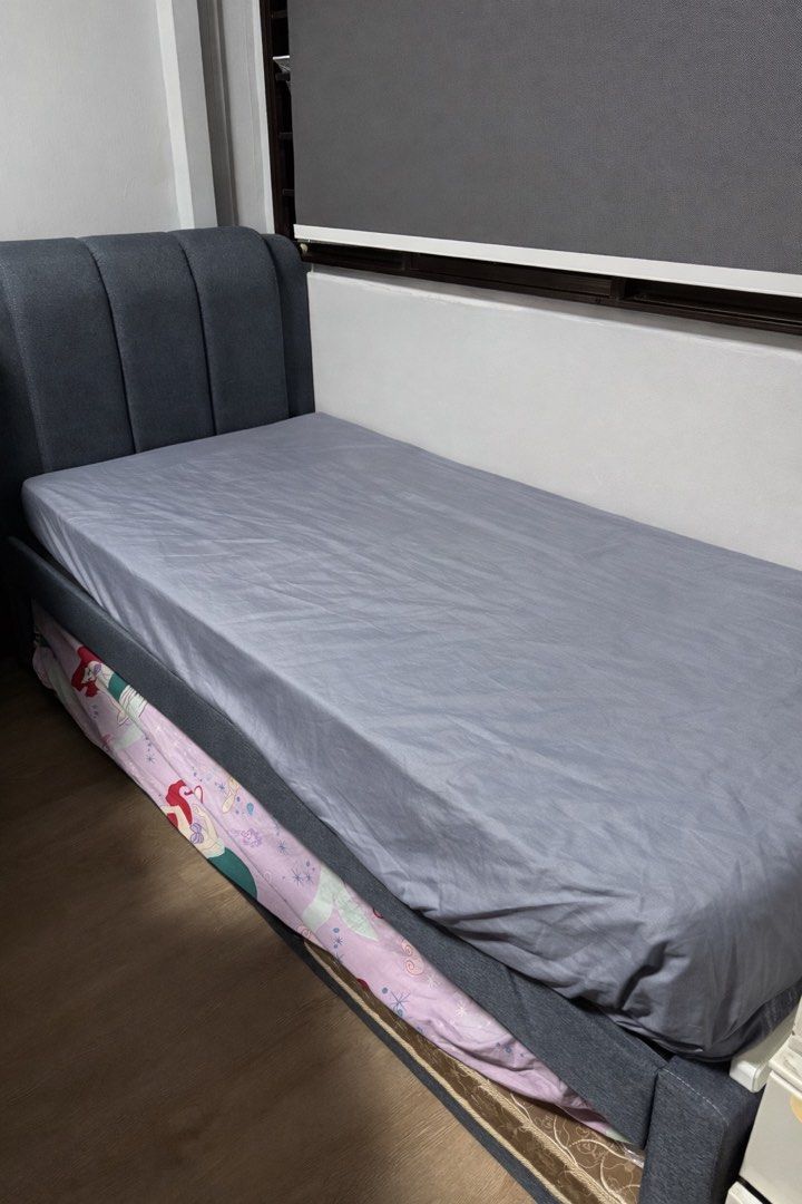 Single Pullout bed