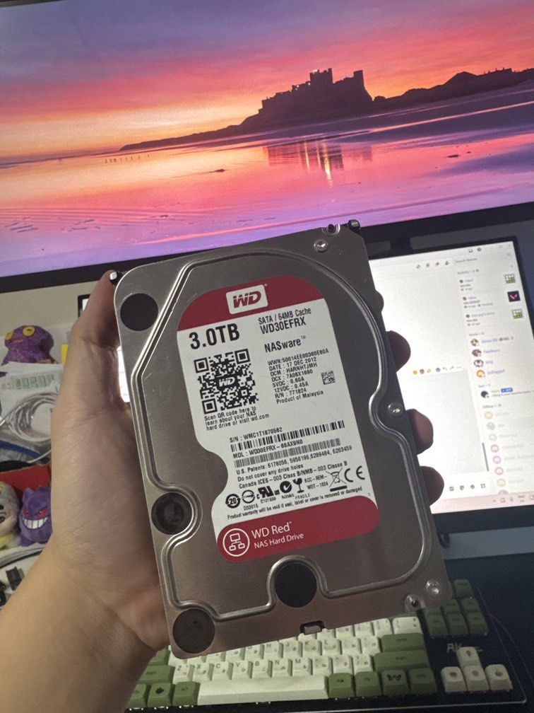 WD Red NAS HDD 3TB
