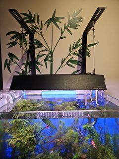 (Category: ) located in . Submitted by costworth (Listing ID 1439016163, Image 1). Description: .