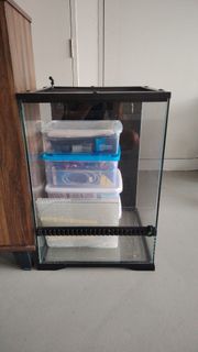 (Category: ) located in . Submitted by alvin512 (Listing ID 1438921028, Image 1). Description: .