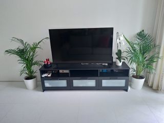 (Category: ) located in . Submitted by jardimjuli41443 (Listing ID 1438983591, Image 1). Description: .