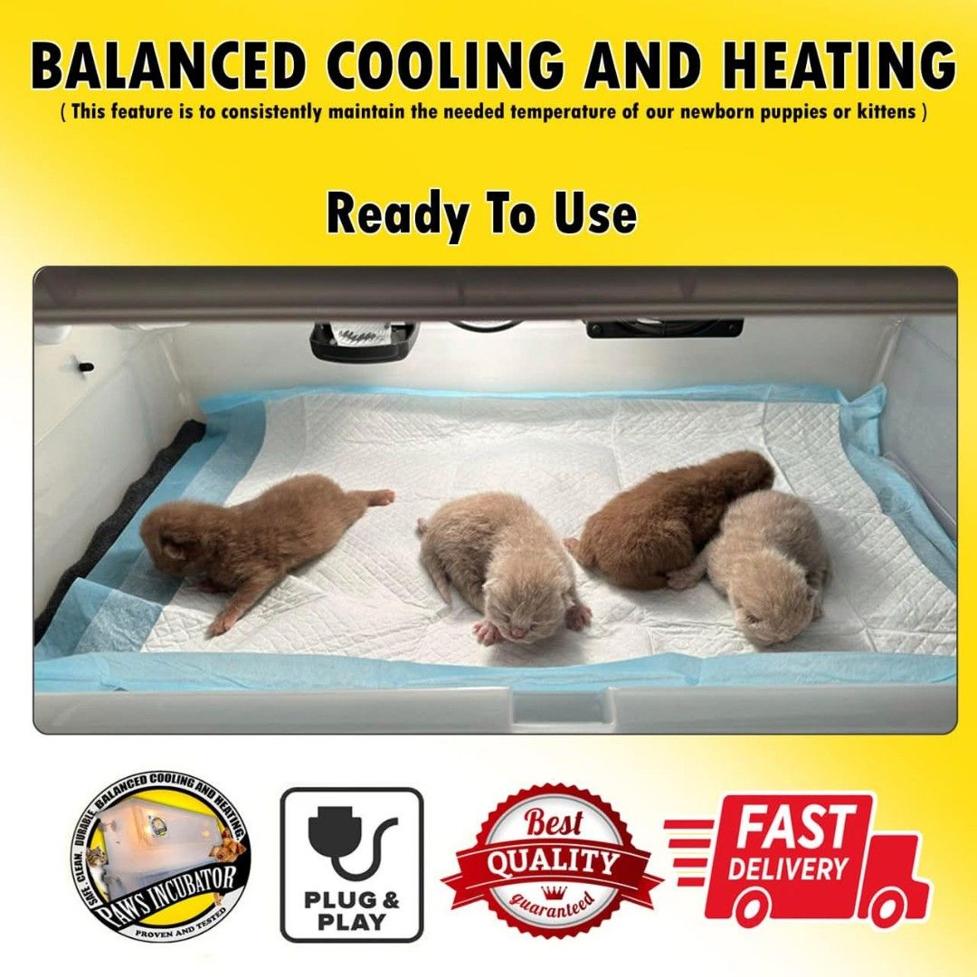 PUPPY AND KITTEN INCUBATOR (Category: Homes & Other Pet Accessories) located in Caloocan City. Submitted by PawsIncubator (Listing ID 1438904389, Image 2). Description: INCUBATOR FOR PUPPIES AND KITTENS (Guaranteed Quality Incubator ) -ONHAND- -PLUG AND PLAY- -FULLY AUTOMATIC- -FULLY DIGITAL- -SAFE AND DURABLE- Nationwide Shipping is now available ✅ COD ✅ Out Facebook Page www.facebook.vom/pawsincubator Call or text 09156625027 Our incubator feat