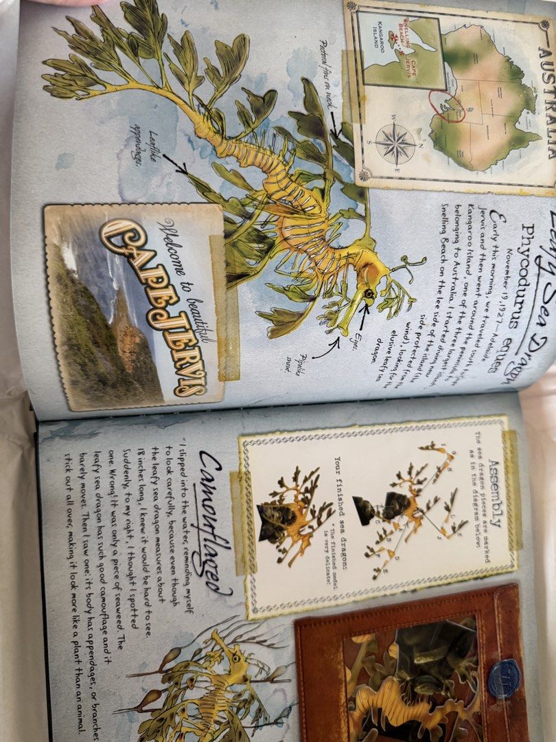 The Field Guide to Ocean Animals (Category: Children's Books) located in Quezon City. Submitted by safedragon_2306ab257 (Listing ID 1437432418, Image 3). Description: - Discover the Great Barrier Reef! - Includes 64 pieces to build 8 ocean animals. - Features a removable diorama. - Perfect for learning about marine life. - Fun and educational for kids!.